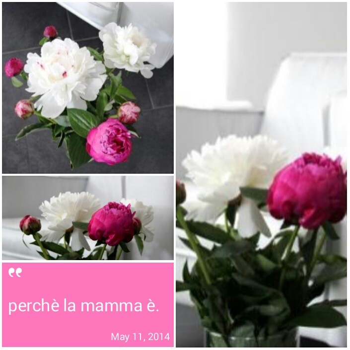 IMG_20140511_095542[1]