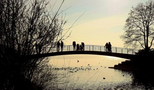 16403086_10154969978969609_2175230356120544578_o